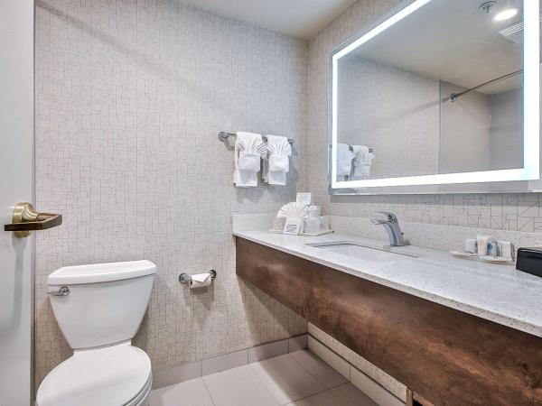 Comfort Inn & Suites South : photo 9 de la chambre suite lit king-size – non-fumeurs