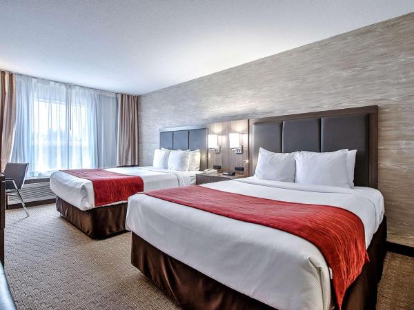 Comfort Inn & Suites South : photo 2 de la chambre chambre 2 lits queen-size - non-fumeurs