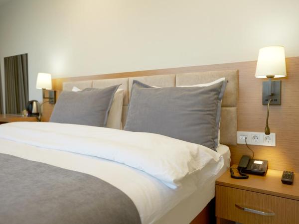 Kartal Palace Taksim Square FAMİLY HOTEL : photo 3 de la chambre chambre lits jumeaux supérieure - vue sur ville