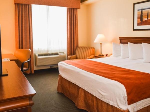 Country Inn & Suites by Radisson, London South, ON : photo 1 de la chambre chambre king - niveau inférieur