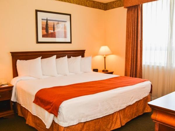 Country Inn & Suites by Radisson, London South, ON : photo 2 de la chambre suite 1 chambre lit king-size