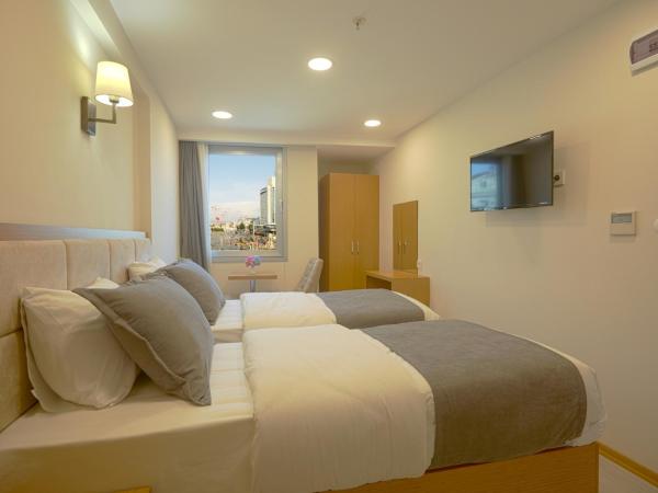 Kartal Palace Taksim Square FAMİLY HOTEL : photo 4 de la chambre chambre lits jumeaux standard - vue sur ville