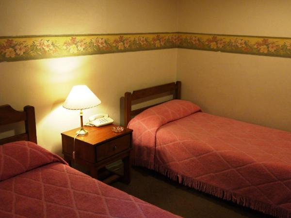 Hotel Gran Sarmiento : photo 1 de la chambre chambre double ou lits jumeaux