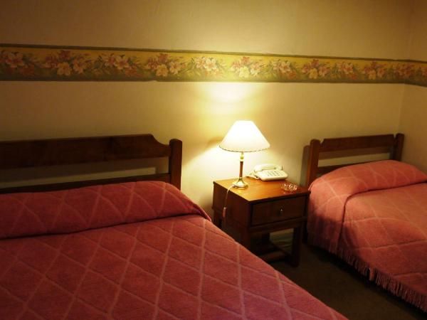 Hotel Gran Sarmiento : photo 6 de la chambre chambre simple