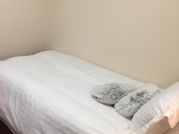 Terra Nova Hotel : photo 5 de la chambre chambre simple avec salle de bains privative