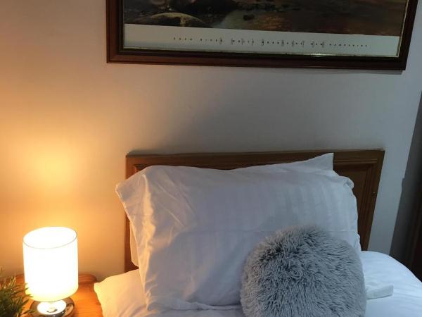 Terra Nova Hotel : photo 4 de la chambre chambre simple avec salle de bains privative