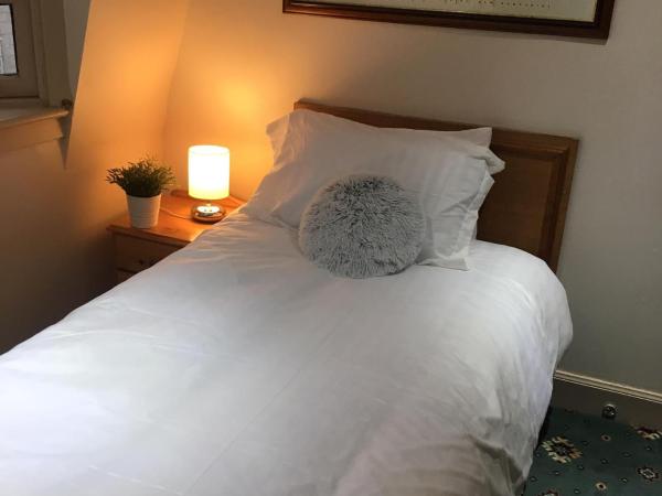 Terra Nova Hotel : photo 1 de la chambre chambre simple avec salle de bains privative