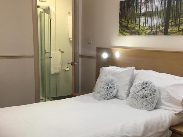 Terra Nova Hotel : photo 5 de la chambre chambre double avec salle de bains privative