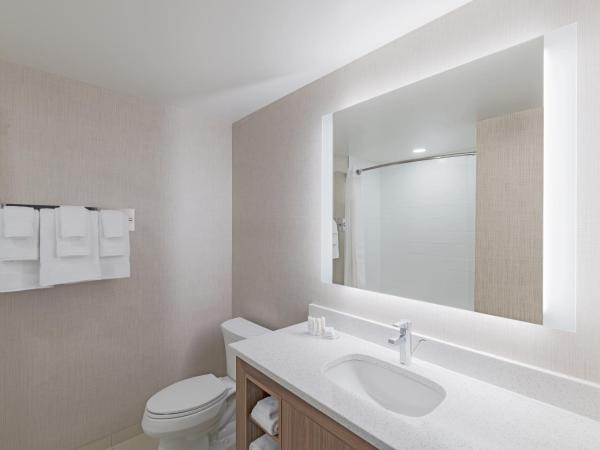 Residence Inn by Marriott Halifax Dartmouth : photo 4 de la chambre studio avec 1 lit king-size et 1 canapé-lit