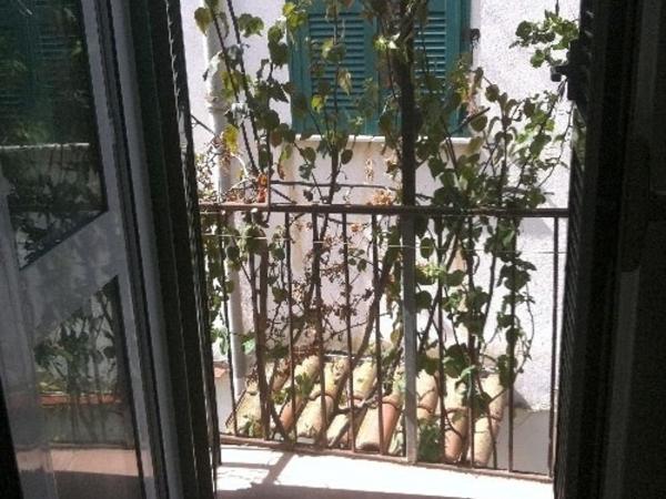 La Bouganville : photo 7 de la chambre chambre double