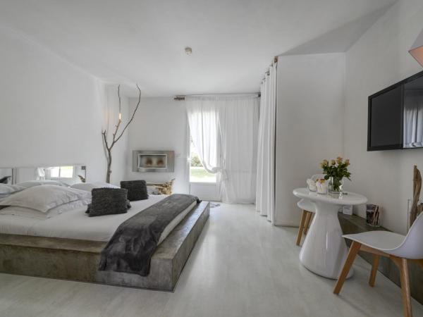 Mas Sainte Marie ,Piscine Chauffée : photo 4 de la chambre suite avec jacuzzi