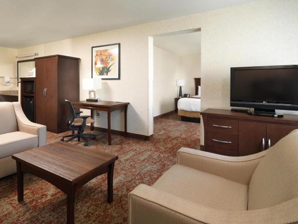Crystal Inn Hotel & Suites - Salt Lake City : photo 4 de la chambre executive king suite with spa bath 
