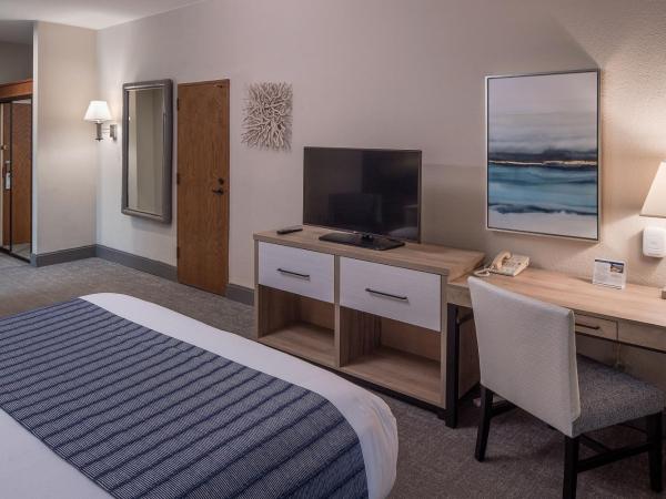 Bay Club Hotel and Marina : photo 5 de la chambre chambre lit king-size standard - pas de vue