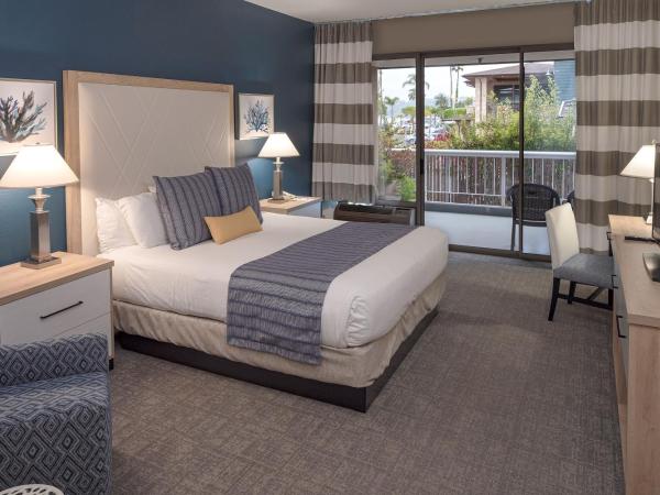 Bay Club Hotel and Marina : photo 3 de la chambre chambre lit king-size standard - pas de vue