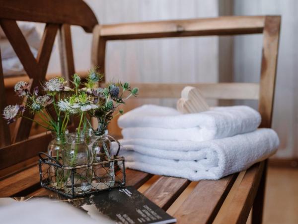 Wildstrubel Lodge : photo 5 de la chambre chambre double - vue sur montagne