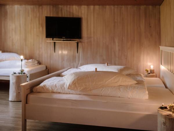 Wildstrubel Lodge : photo 4 de la chambre chambre triple – vue sur montagne