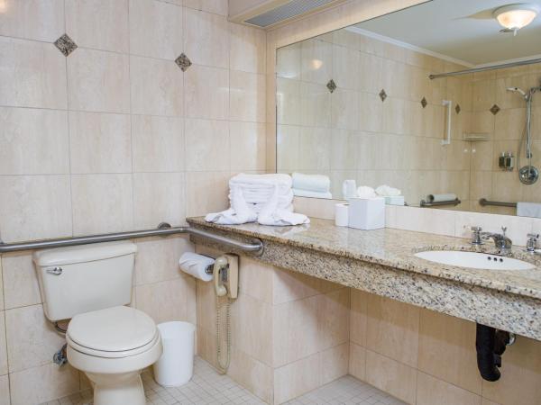 Mayflower Park Hotel : photo 3 de la chambre chambre lit queen-size - accessible aux personnes à mobilité réduite