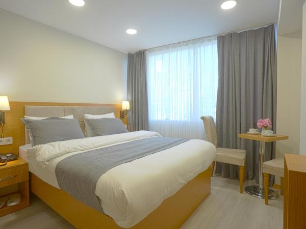 Kartal Palace Taksim Square FAMİLY HOTEL : photo 5 de la chambre chambre simple standard avec vue sur la ville
