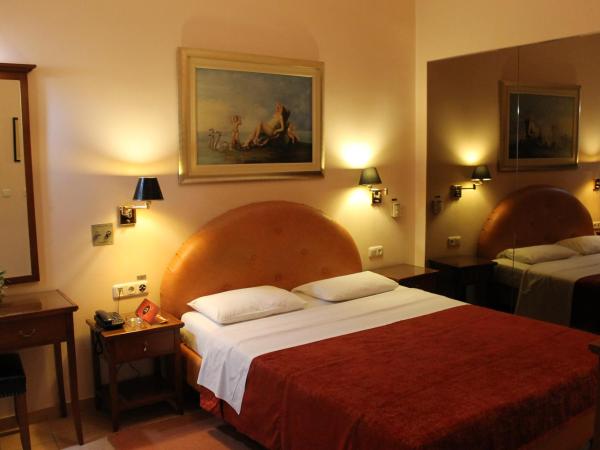 Exis Hotel : photo 10 de la chambre chambre simple