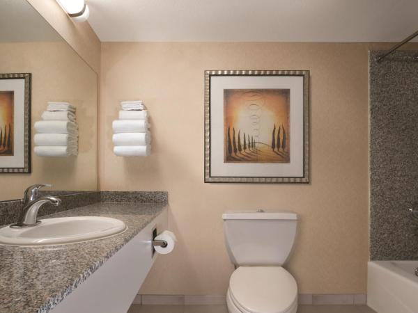 Circus Circus Hotel, Casino & Theme Park : photo 2 de la chambre chambre double lit queen-size - tour familiale skyrise