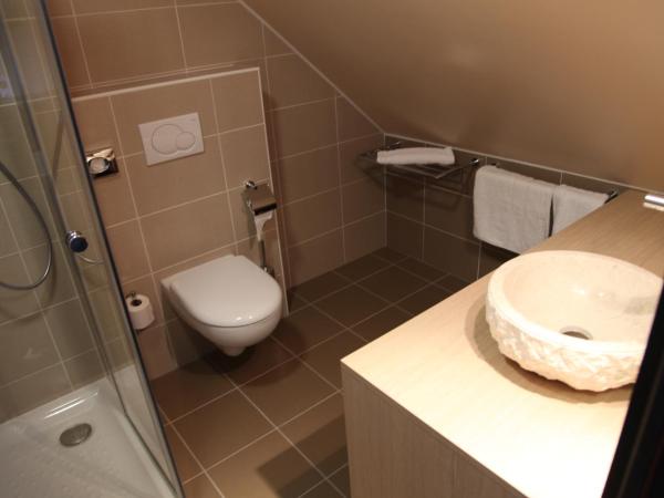 Hotel Vauban : photo 5 de la chambre chambre simple