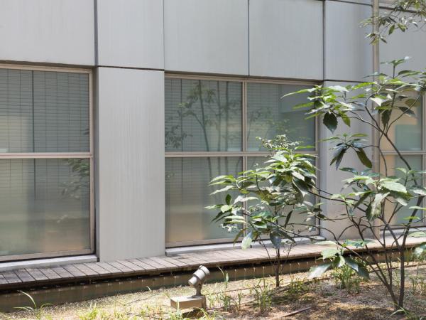 Hotel Metropolitan Tokyo Marunouchi : photo 3 de la chambre hébergement lit queen-size 20 m² - sans vue