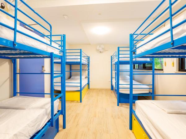 Global Backpackers Cairns : photo 1 de la chambre lit dans dortoir mixte de 8 lits (réservé aux personnes de 18 à 35 ans)
