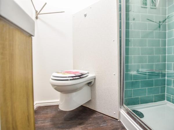 Regency GuestHouse Manchester North : photo 7 de la chambre Élégant studio