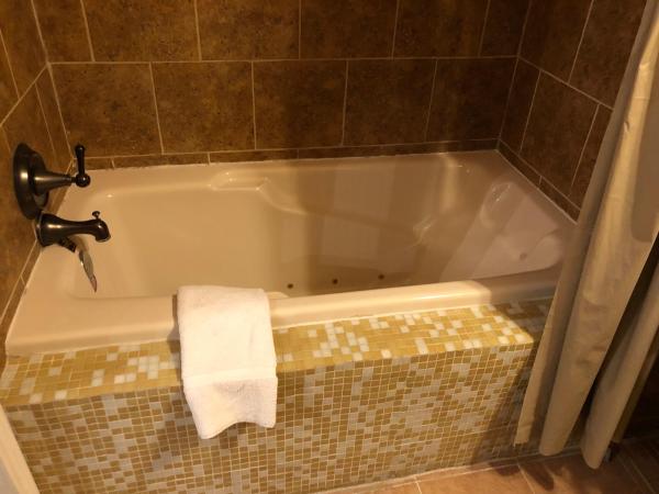 Oakview Bed and Breakfast : photo 6 de la chambre suite junior