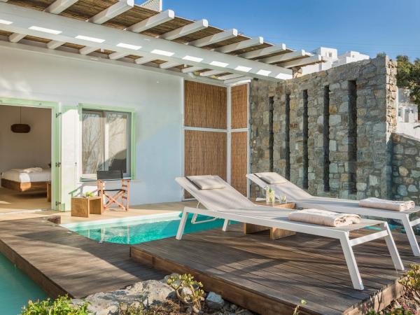 KLIDON Dreamy Living Suites : photo 3 de la chambre suite avec piscine privée