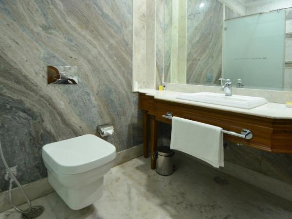 Nirbana Palace - A Heritage Hotel and Spa : photo 5 de la chambre chambre supérieure