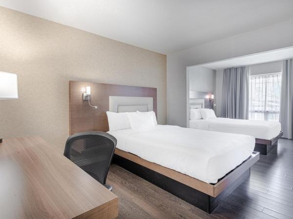 Hotel Universel : photo 1 de la chambre  hébergement avec 2 lits doubles et kitchenette