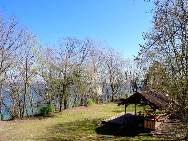 BP Hostel Gdynia : photo 9 de la chambre chambre simple deluxe