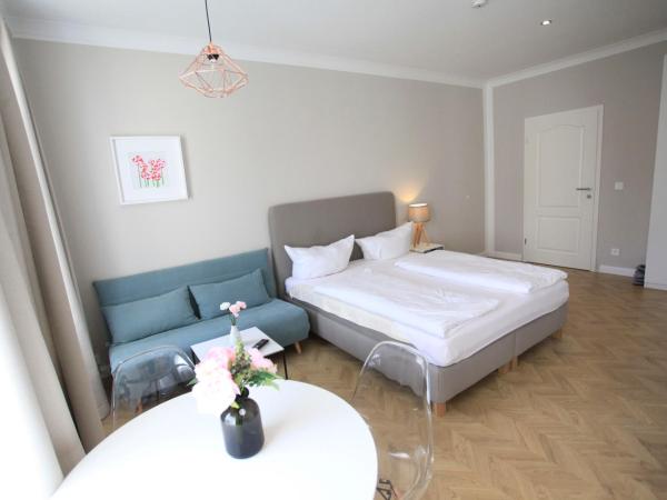 Zollikof Aparts - Sauna & Studioapartments : photo 4 de la chambre appartement avec sauna