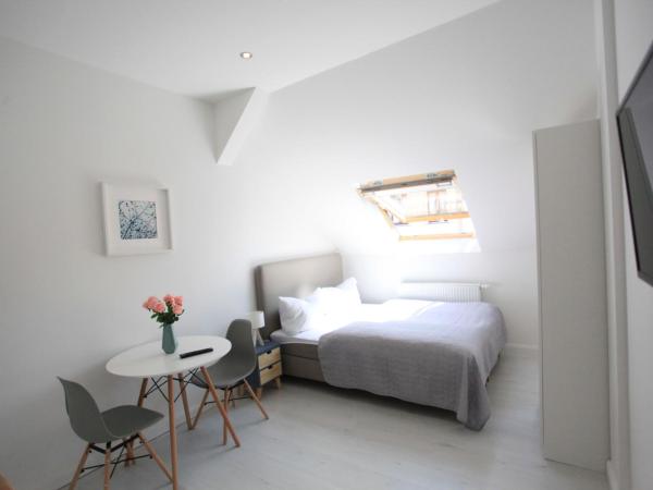 Zollikof Aparts - Sauna & Studioapartments : photo 4 de la chambre studio apartment (without sauna)