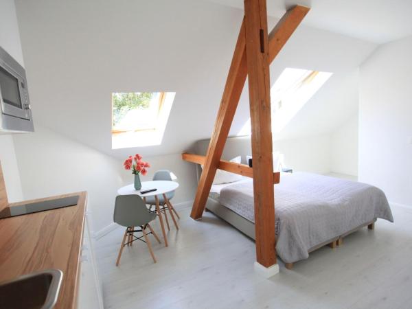 Zollikof Aparts - Sauna & Studioapartments : photo 6 de la chambre studio apartment (without sauna)