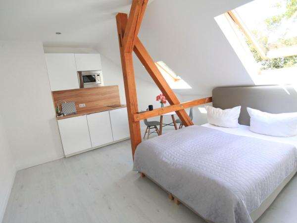 Zollikof Aparts - Sauna & Studioapartments : photo 2 de la chambre studio apartment (without sauna)