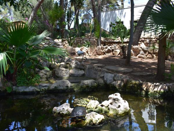 VILLA GARDEN : photo 10 de la chambre suite 1 chambre