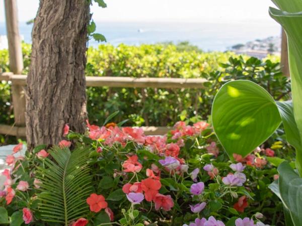 Guesthouse Coralba : photo 7 de la chambre chambre double - vue sur mer