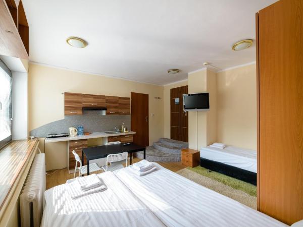 Sopocki Zdrój : photo 2 de la chambre studio