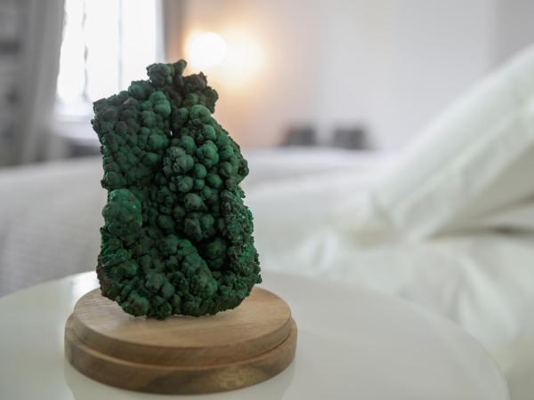 Couvent de la Salette & Spa : photo 7 de la chambre chambre double - vue sur jardin