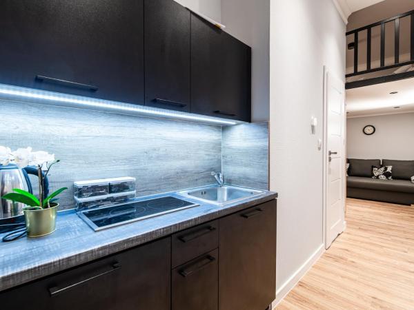 Lubomirskiego 23 Residence - great location, 10 min to Main Square by foot, right next to Main Rail and Bus Station : photo 4 de la chambre appartement supérieur