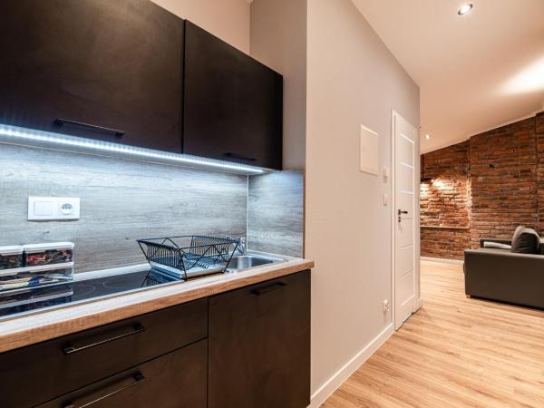 Lubomirskiego 23 Residence - great location, 10 min to Main Square by foot, right next to Main Rail and Bus Station : photo 4 de la chambre appartement supérieur