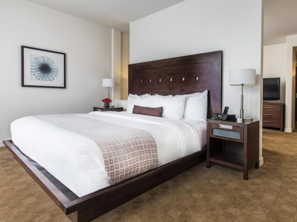 Metterra Hotel on Whyte : photo 4 de la chambre studio lit king-size