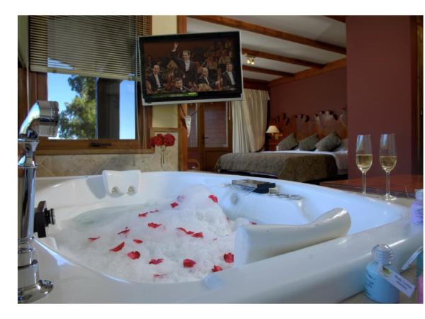 Charming Luxury Lodge & Private Spa : photo 7 de la chambre suite master avec sauna