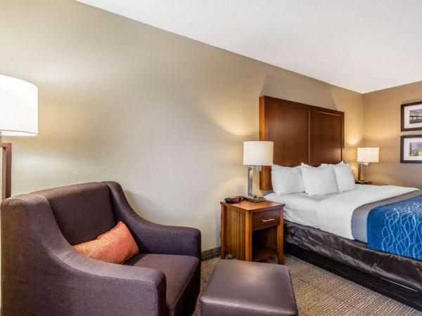 Comfort Inn & Suites Airport-American Way : photo 5 de la chambre chambre lit king-size - non-fumeurs