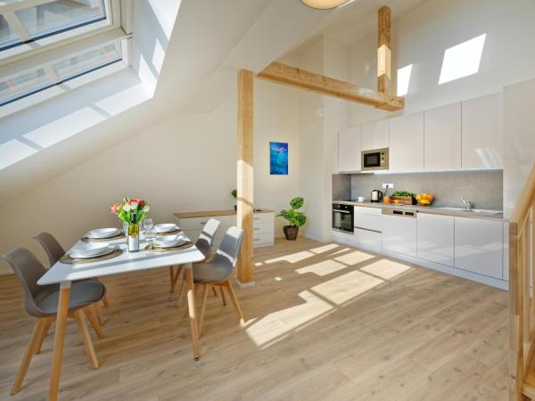 DownTown Suites Jugoslavska : photo 2 de la chambre penthouse