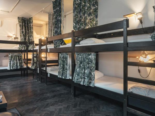 Stay Swanky Hostel : photo 1 de la chambre lit superposé dans dortoir de 8 lits