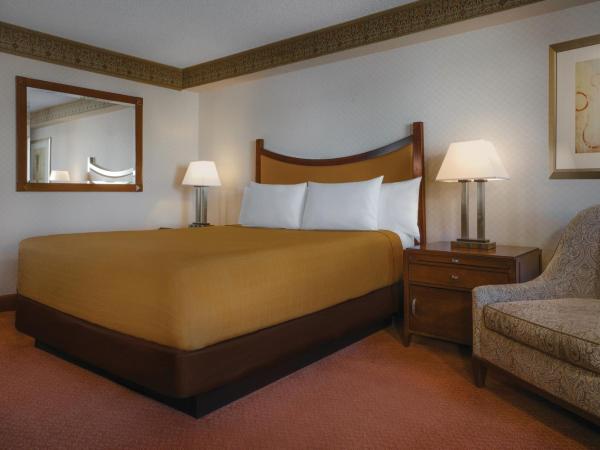 Circus Circus Hotel, Casino & Theme Park : photo 5 de la chambre chambre king manoir