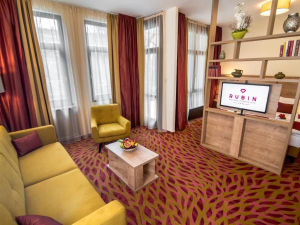 Rubin Wellness & Conference Hotel : photo 1 de la chambre chambre double ou lits jumeaux deluxe – vue sur jardin
